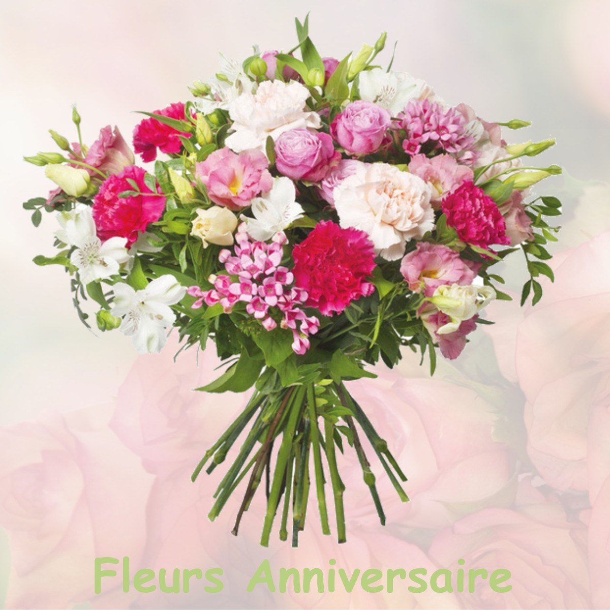 fleurs anniversaire SAINT-MEDARD-NICOURBY